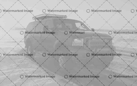 Globale Umfrage zeigt robuste Kaufabsichten für Autos
